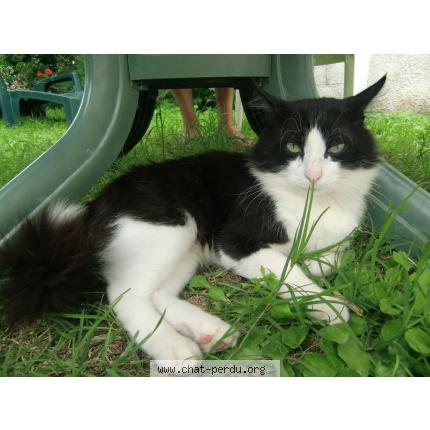 Chat sexe puteaux