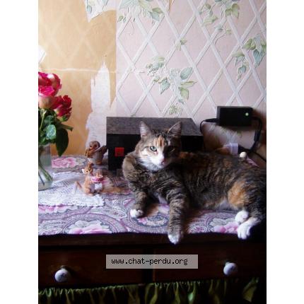 petite chatte chauve picspoilu chatte anal sexe