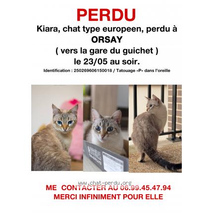 affiche de chat perdu