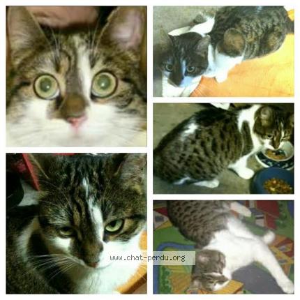 Pinky chatte photos