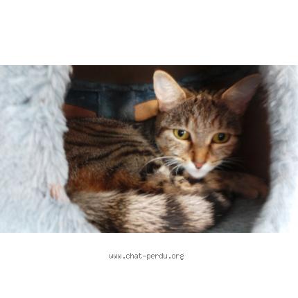 eure chatrooms Find the perfect home & pet sitter view references, video profiles and relevant house & pet sitting experience. eure chatrooms Find the perfect home & pet sitter view references, video profiles and relevant house & pet sitting experience.