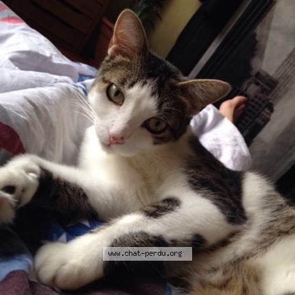 Chat sexe pontault combault