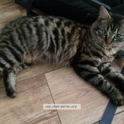 Chat sexe plaisir
