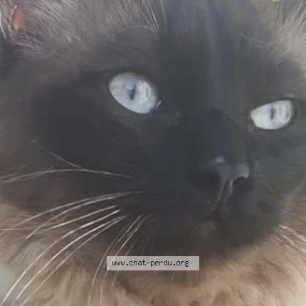 Chat sexe nancy