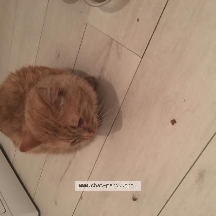 Chat sexe saint paul