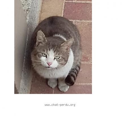 Chat sevran