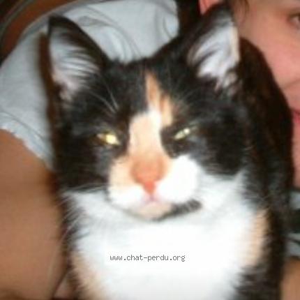 petite chatte chauve pics Teen blackpussy
