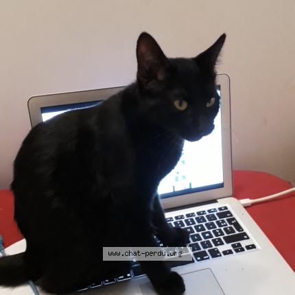 tendre jeune chatte noire serré chatte creampie porno