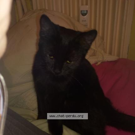 Bdsm noir sexe cum inhabituel rencontre chatte coq noire.