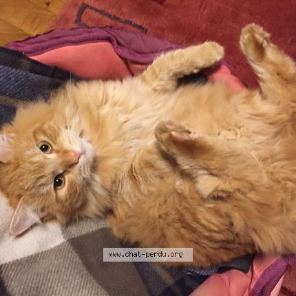 Chat france roulette