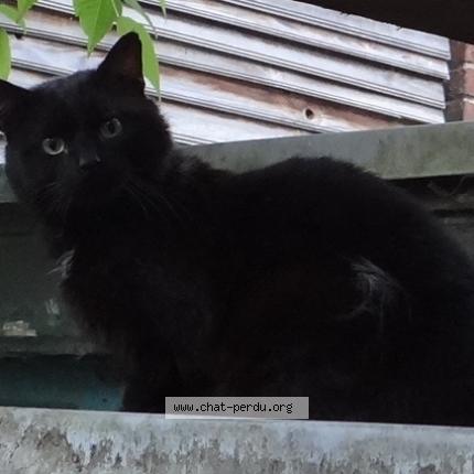chatte rasée en bas