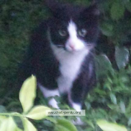 chatte serrée s