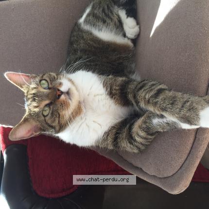 Litiere Chat Leclerc Marque Repere Get Images Litiere Chat Leclerc Marque Repere Get Images