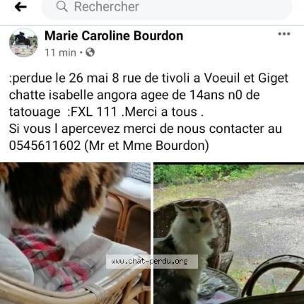 Melusine Chat Perdu A Voeuil Et Giget Chat Perdu France