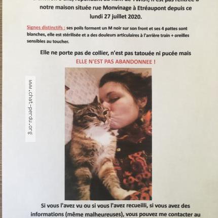 Twist Chat Perdu A Etreaupont Chat Perdu France