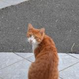 Inwgaublhuvsnm Inwgaublhuvsnm