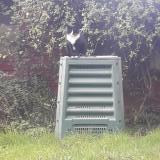 Photo de chat perdu à Sevran