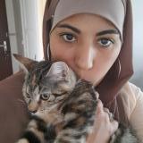 Chat Perdu Ou Trouve Seine Saint Denis 93 France Page 2 18