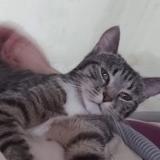 Oeerffzqrlf5rm Oeerffzqrlf5rm