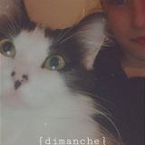 Chat Perdu Ou Trouve Clermont Ferrand Puy De Dome 63 France Chat Perdu Ou Trouve Clermont Ferrand Puy De Dome 63 France