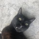 Inwgaublhuvsnm Inwgaublhuvsnm