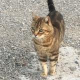 Urfxhip C4odwm Urfxhip C4odwm