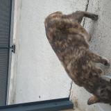 Opy1h9gk9aa6qm Opy1h9gk9aa6qm