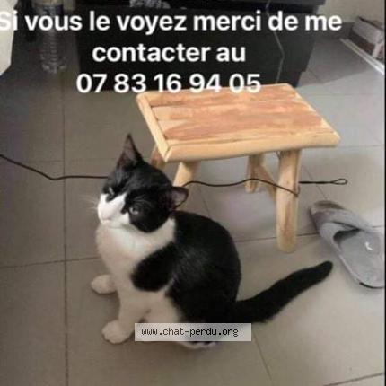 6310 Lardounet Chat Perdu A Jouques Chat Perdu France 6310 Lardounet Chat Perdu A Jouques Chat Perdu France