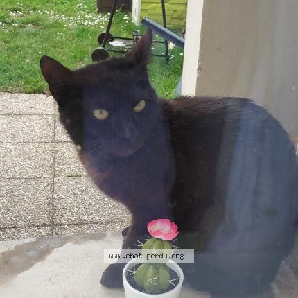 0rgst4ox5gmskm 0rgst4ox5gmskm