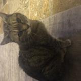 Bvbzzwt Izqs M Bvbzzwt Izqs M