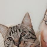 Chat Perdu Ou Trouve Ille Et Vilaine 35 France