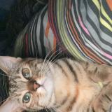 Ikdjunqimmwkom Ikdjunqimmwkom