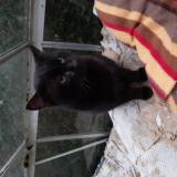 Ikdjunqimmwkom Ikdjunqimmwkom