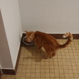 Ikdjunqimmwkom Ikdjunqimmwkom