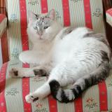 Ybuuyoggb0zyhm Ybuuyoggb0zyhm