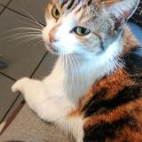 Ybuuyoggb0zyhm Ybuuyoggb0zyhm