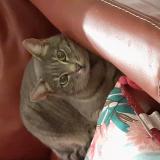 Gdkbaxxg7lhqcm Gdkbaxxg7lhqcm