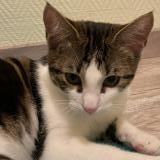 Ybuuyoggb0zyhm Ybuuyoggb0zyhm