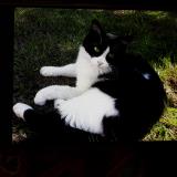 Ybuuyoggb0zyhm Ybuuyoggb0zyhm