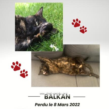 Balkanchat BalkanChat Radio