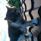 Ybuuyoggb0zyhm Ybuuyoggb0zyhm