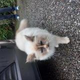 Ah431um06km9vm Ah431um06km9vm