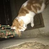 9sospj9tp3zd7m 9sospj9tp3zd7m