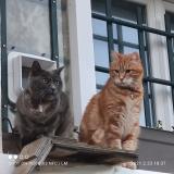 Ah431um06km9vm Ah431um06km9vm