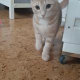 Vbzp Lmcuqpvym Vbzp Lmcuqpvym