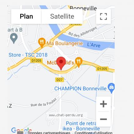 Photo de chat perdu à Bonneville