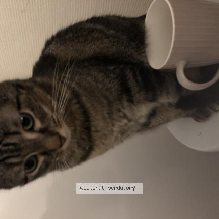 Shfexn9gtwrem Shfexn9gtwrem