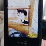 Photo de chat perdu à L Union