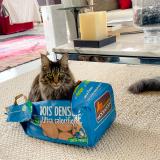 Photo de chat perdu à Vaucresson