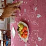 Photo de chat trouvé à Voeuil Et Giget